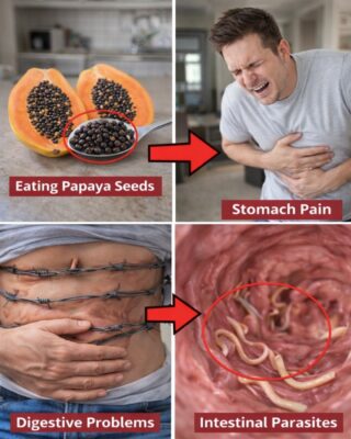 Don’t Toss Them: 14 Surprising Papaya Seed Benefits for Everyday Wellness