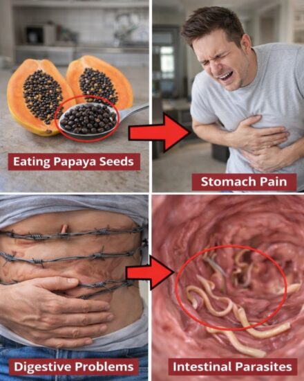Don’t Toss Them: 14 Surprising Papaya Seed Benefits for Everyday Wellness