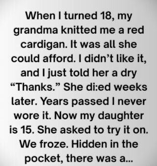 The Red Cardigan That Waited Fifteen Years: A Grandmother’s Love Woven in Every Stitch