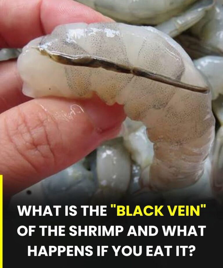 The Dark Line in Shrimp Explained: What It Really Is—and Why Cooks Argue About Removing It