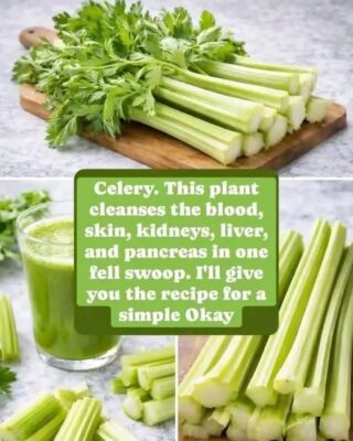 Cleanses the Liver 150 Times More Powerful Than Garlic and Lemon: Grandma’s Miracle Recipe