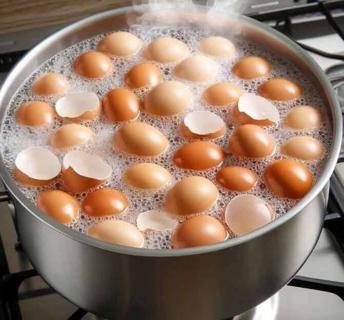 Boiling Eggshells for Various Uses
