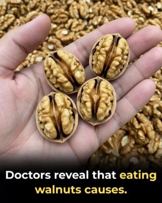 Doctors reveal what eating nuts can cause…