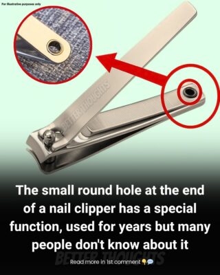 The Tiny Hole on Your Nail Clipper — and Why Small Design Details Matter More Than We Realize