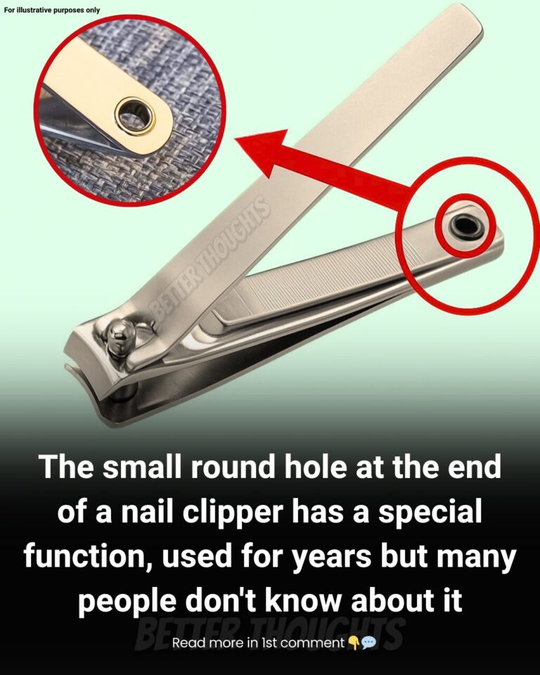The Tiny Hole on Your Nail Clipper — and Why Small Design Details Matter More Than We Realize