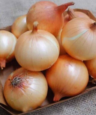 Natural treatment with onions and their peels