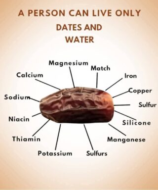 The Healthiest Fruit on the Planet: The Wonders of Eating Three Dates Daily