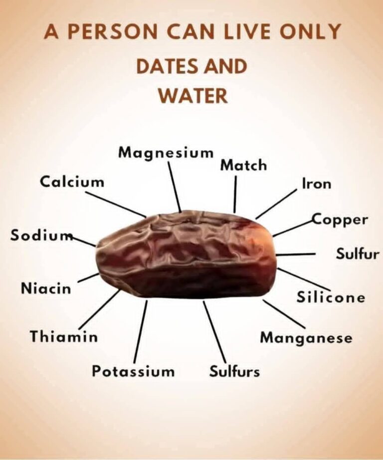 The Healthiest Fruit on the Planet: The Wonders of Eating Three Dates Daily