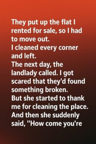 Leaving a Place Better Than I Found It Changed More Than I Knew