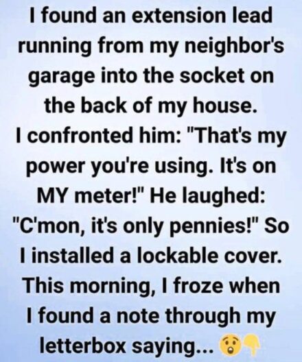 Last week, I went out into my backyard hoping for a quiet moment—and immediately noticed something odd.