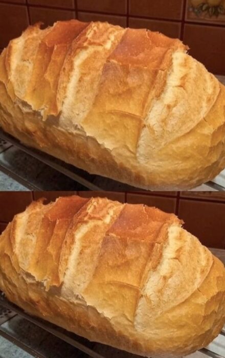 House bread of almost 2 kg for less than 3.50 PLN – crispy crust and fluffy crust