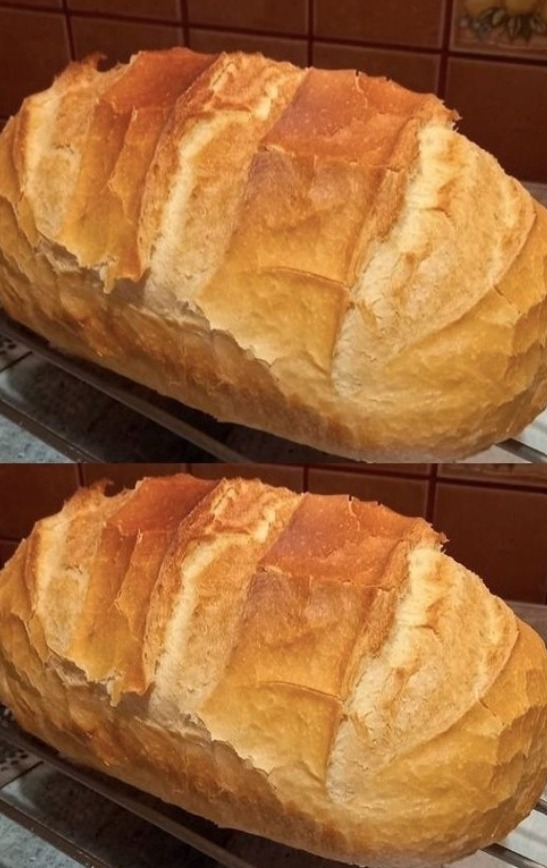 House bread of almost 2 kg for less than 3.50 PLN – crispy crust and fluffy crust