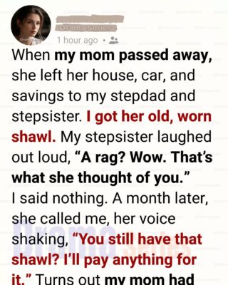 They Laughed When I Inherited a ‘Worthless Rag’—Until the Truth Came Out