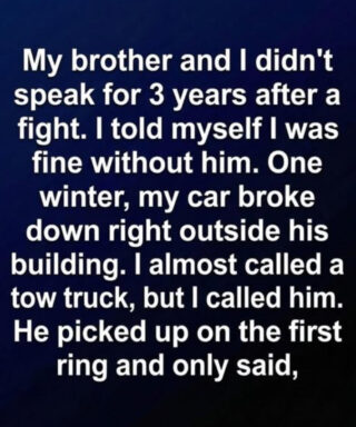 It all started with a stalled engine and three years of silence, ending on a winter night when the hallway finally closed for good.