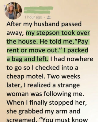 My Stepson Kicked Me Out After My Husband’s Funeral—Then a Woman Who Had Been Following Me Changed My Life