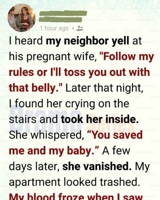 I Gave Shelter to My Neighbor’s Pregnant Wife—Days Later She Vanished and My Apartment Was Unrecognizable