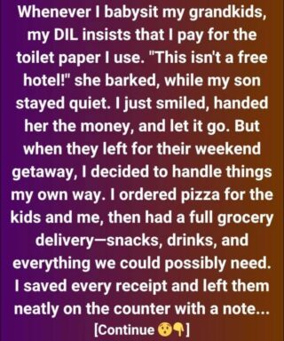 My daughter-in-law charged me for toilet paper. She didn’t realize what I was about to do next would change everything.
