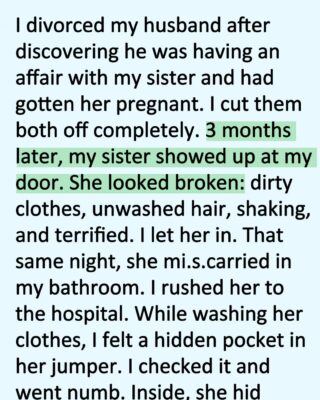 I Hated My Sister for Destroying My Marriage… Until the Night She Lost the Baby
