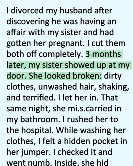I Hated My Sister for Destroying My Marriage… Until the Night She Lost the Baby