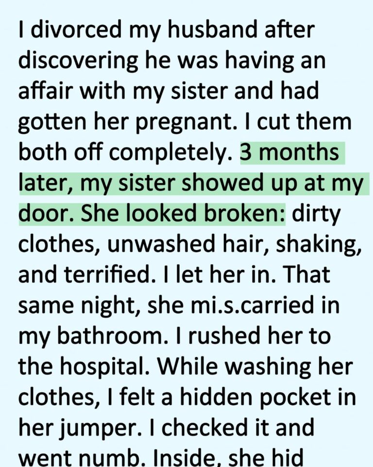 I Hated My Sister for Destroying My Marriage… Until the Night She Lost the Baby
