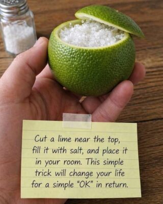 Search Results for: How Placing a Cut Lime With Salt in Your Room Can