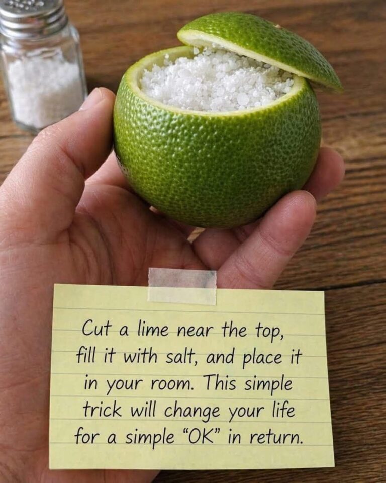 Search Results for: How Placing a Cut Lime With Salt in Your Room Can