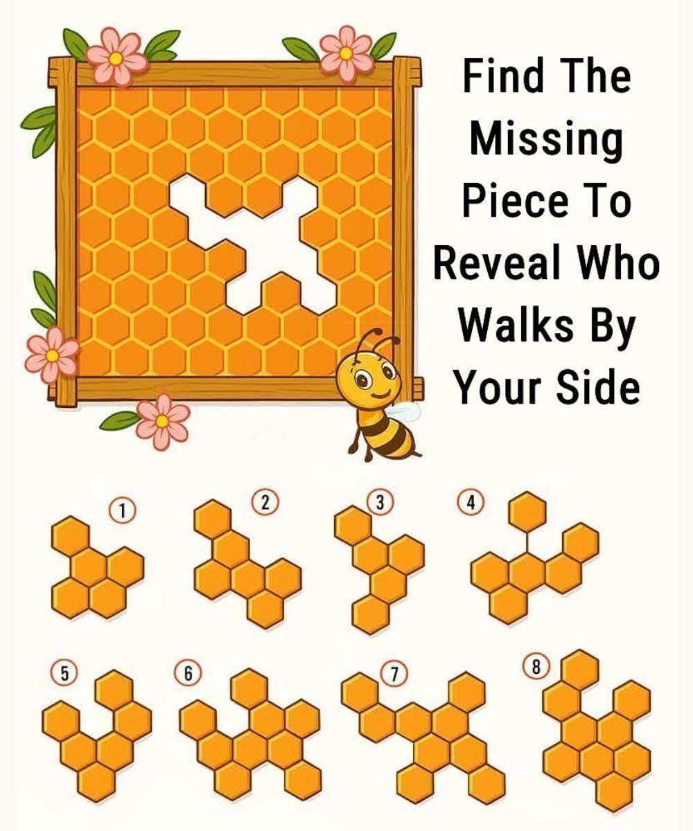Find The Missing Honeycomb Piece To Reveal Who Walks By Your Side. Check 1st comment