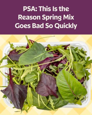 PSA: This Is the Reason Spring Mix Goes Bad So Quickly