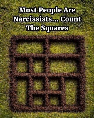 How Many Squares Can You Spot?