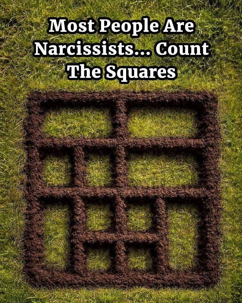 How Many Squares Can You Spot?