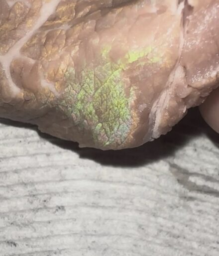 Why Does Meat Sometimes Look Rainbow-Colored? (It’s Not Spoiled — It’s Science!)