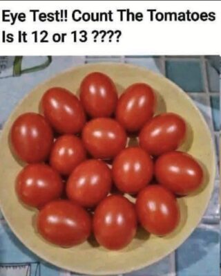 Eye Test!! Count The Tomatoes Is It 12 or 13 ???