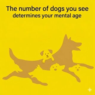 The number of dogs you see determines your mental age