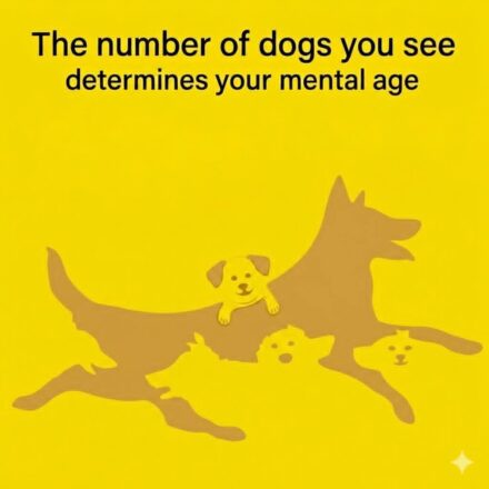 The number of dogs you see determines your mental age