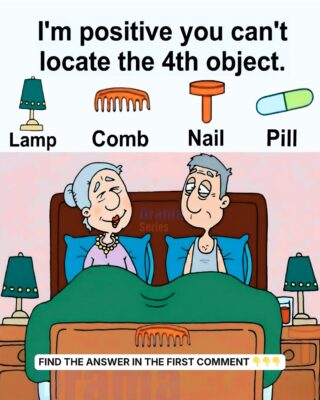 Find 4 Objects: a Lamp, a Comb, a Nail, a and Pill
