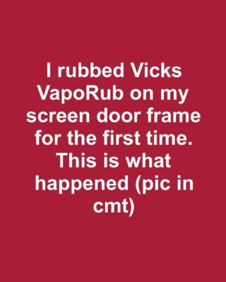 I rubbed Vicks VapoRub on my screen door frame for the first time. This is what happened