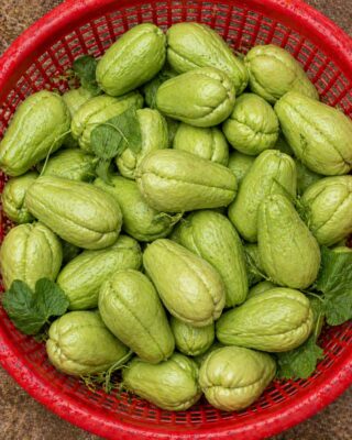 Doctors Explain the Benefits of Eating Chayote…