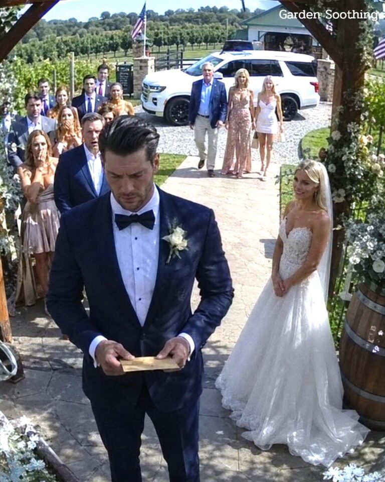 At 17, They Dumped Me at a Farm for Their “Precious Princess.” Years Later, I Built an Empire. When They Returned Demanding a VIP Seat at My Wedding, I Didn’t Give Them an Invite—I Gave Them the Bill.
