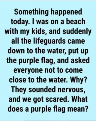 What Does the Purple Beach Flag Mean? The Hidden Ocean Warning Most Swimmers Ignore