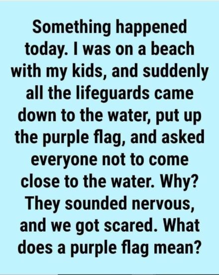 What Does the Purple Beach Flag Mean? The Hidden Ocean Warning Most Swimmers Ignore
