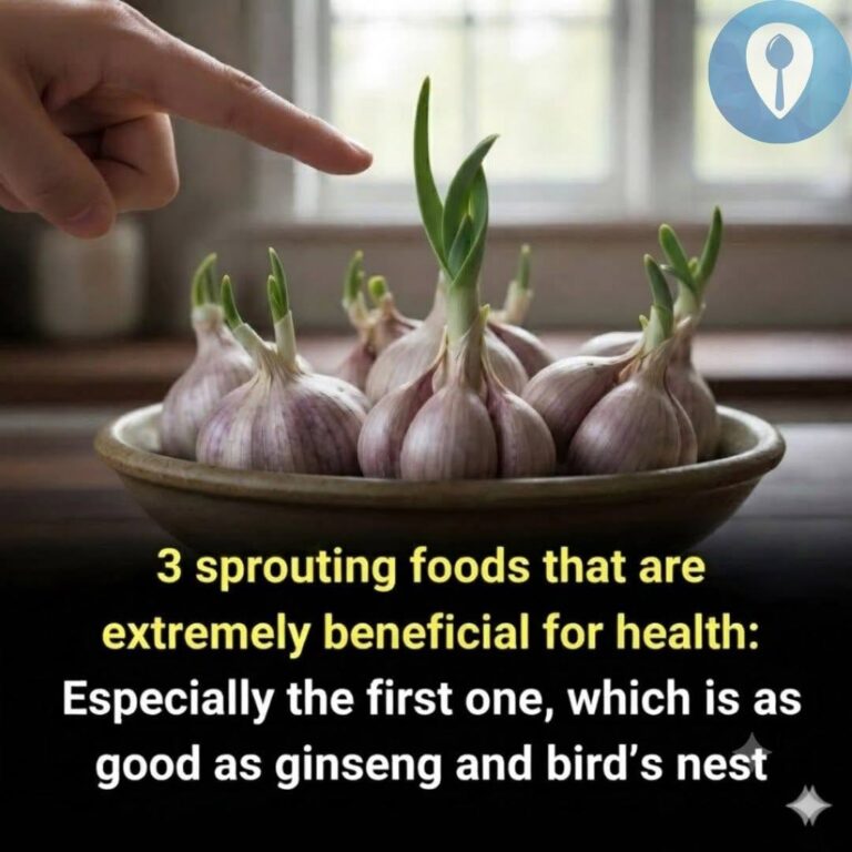 Looking for Nutritious Foods? These 3 Sprouted Options May Be Worth Trying
